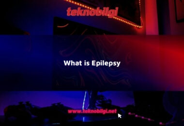 what is epilepsy 15955